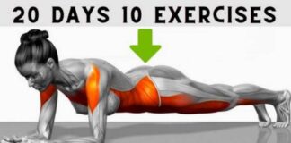 20-Days Guide to Exercising The Whole Body