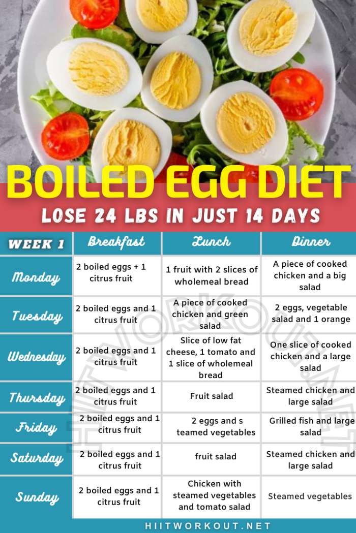 14 Day Boiled Egg Diet Plan